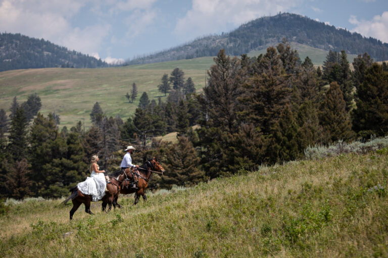 Adventure Elopement Photographers Mobile Scenic Vows 003 U9A0146 | Adventure Elopement Photographers