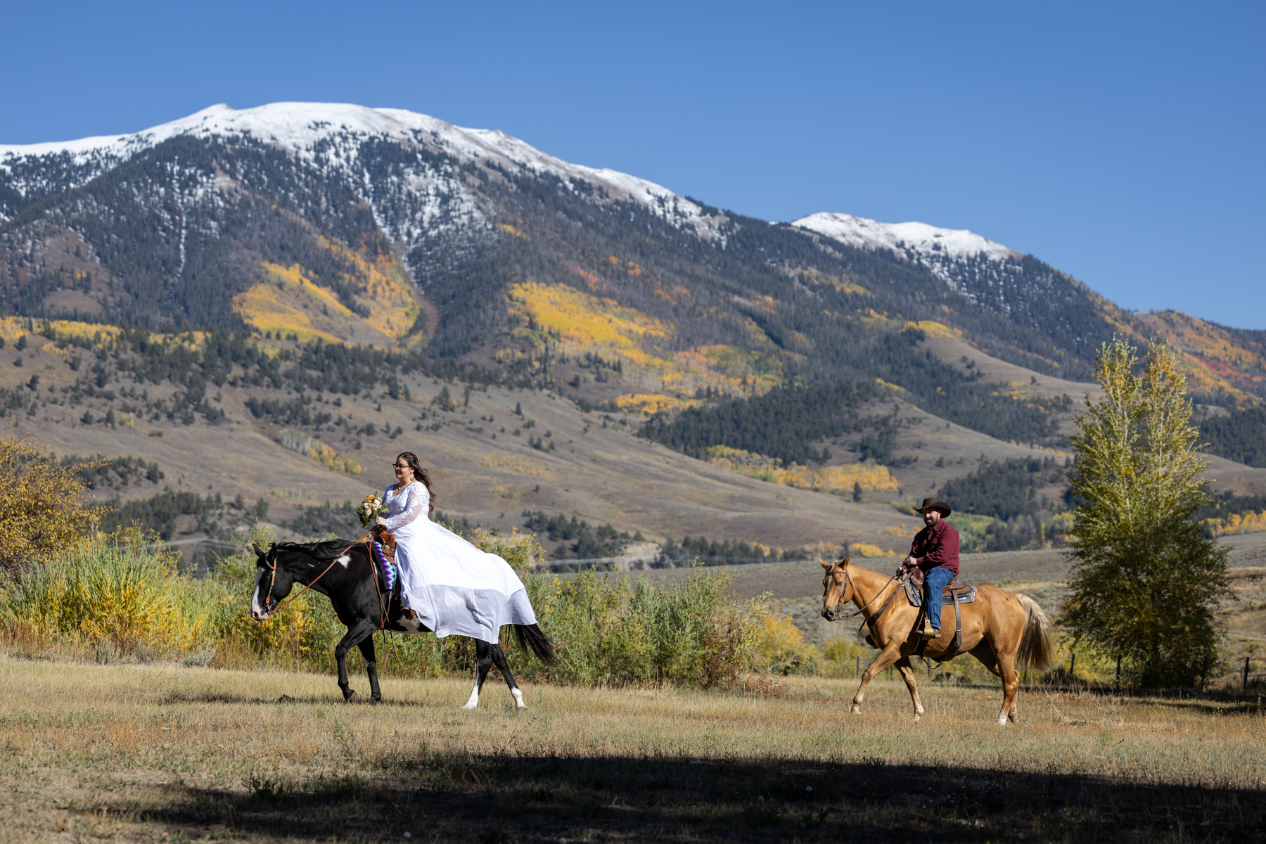 Bride and groom ride horses on a cool fall day, the mountain behind them is full of fall colored aspen trees. 