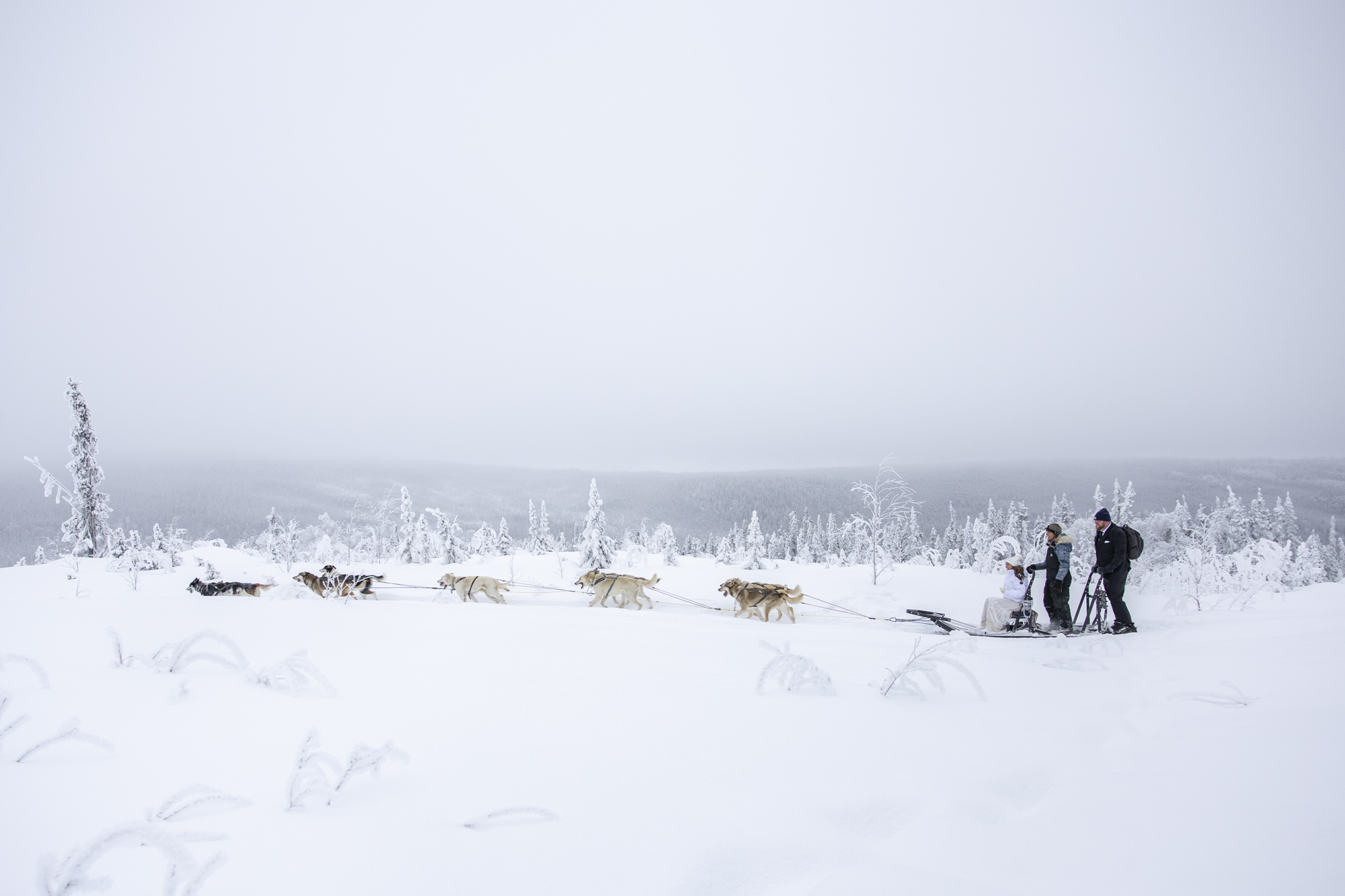 Where to Elope: How to Choose the Perfect Elopement Location | Scenic Vows A bride and groom sit on a dog sled in Alaska on their winter adventure elopement
