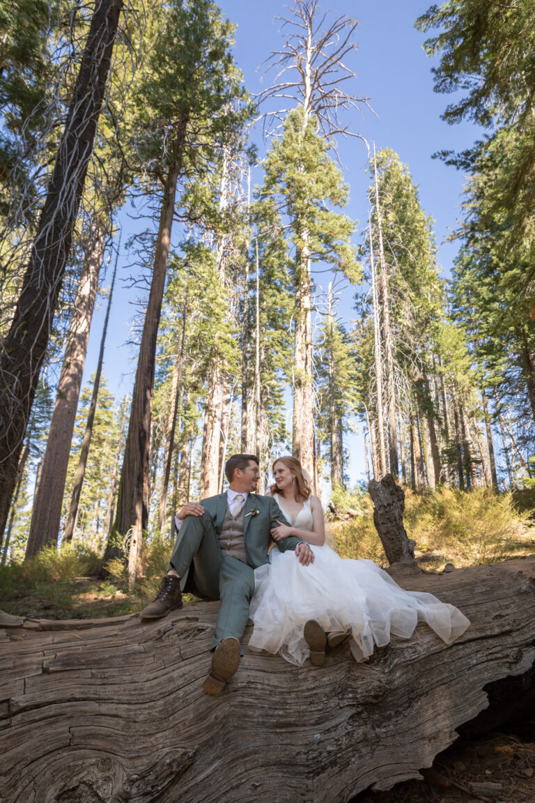 A couple sit next to each other on a giant downed tree in Sequoia National Park on their elopement day.