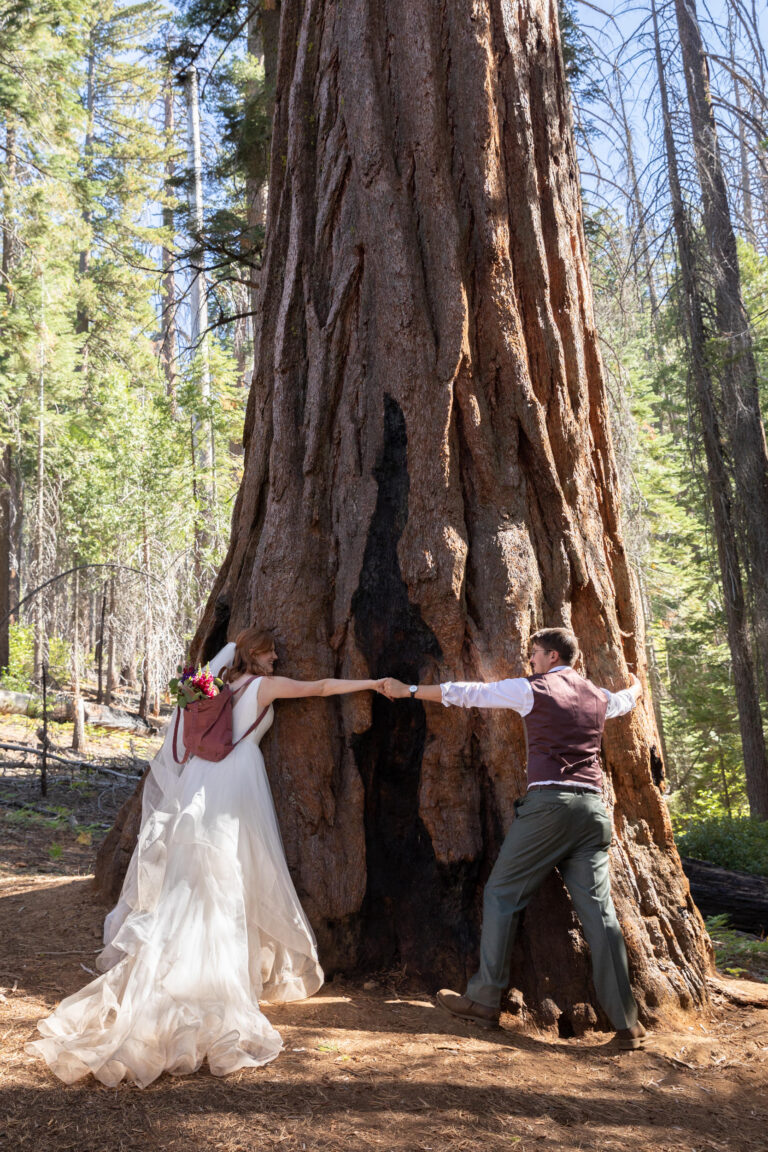 A bride wearing a backpack is holding hands with her groom as they hug a giant sequoia tree.
