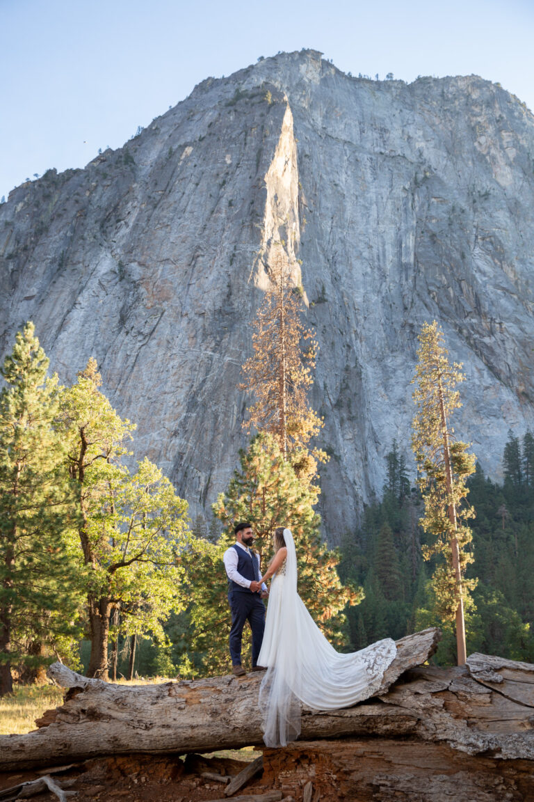 A bride and groom stand facing each other and holding hands on a fallen tree in Yosemite with mountains behind them.