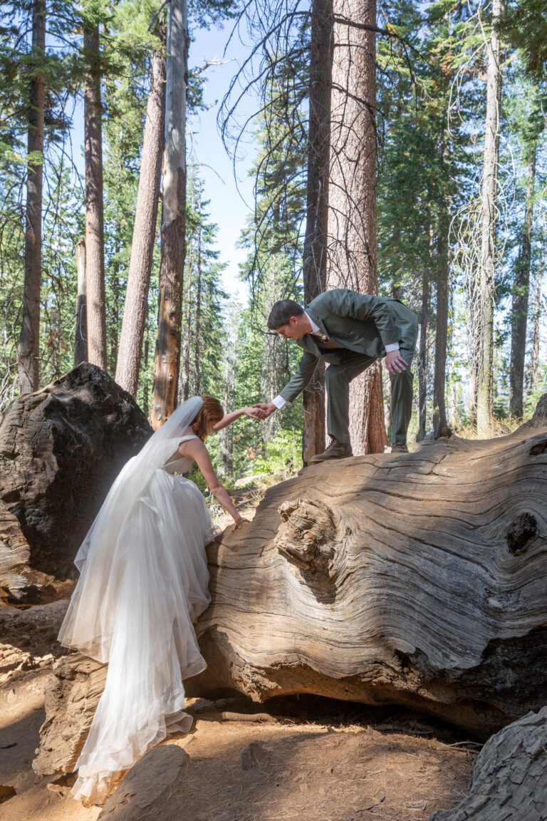 A groom stands on top of a giant fallen tree and reaches his hand down to help his bride up to stand with him.