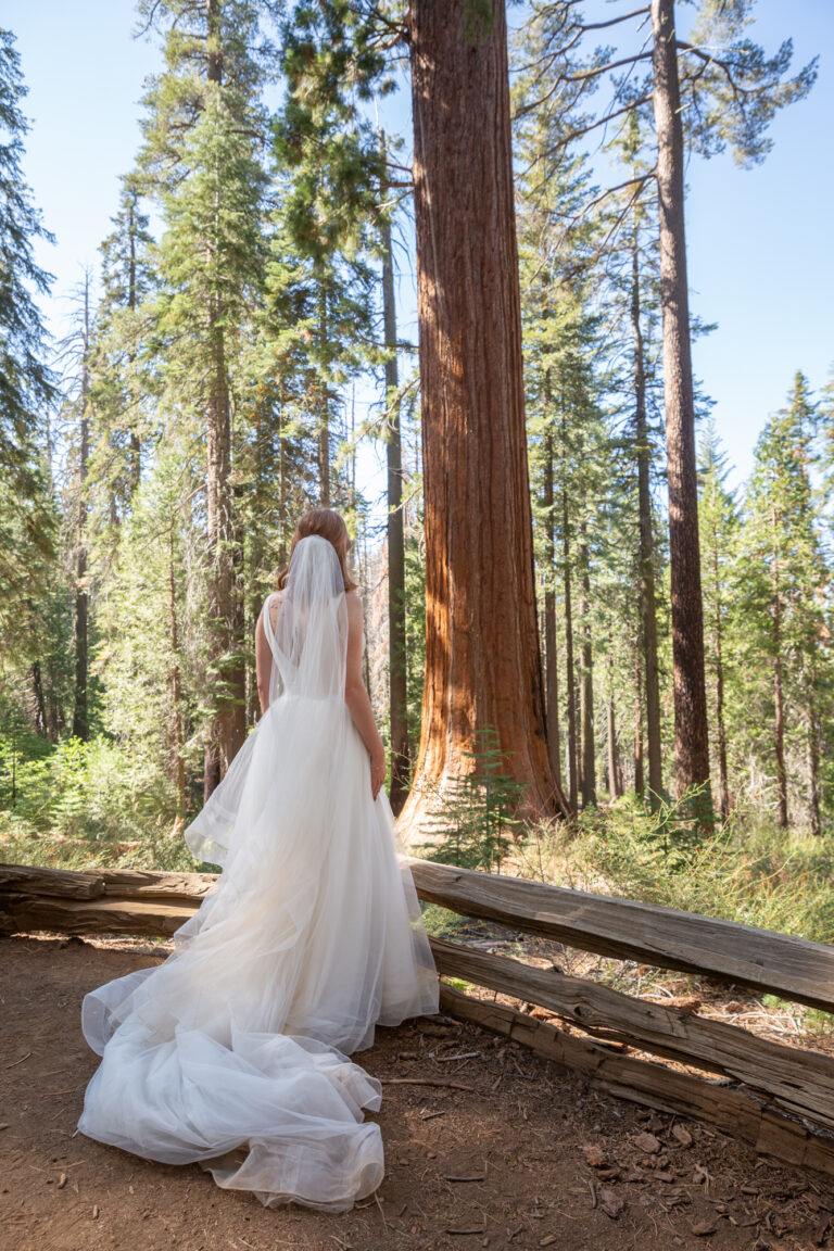 10 Breathtaking Places in California to Elope | Scenic Vows A bride stands staring up in awe at a giant Sequoia Tree on her elopement day in Yosemite.