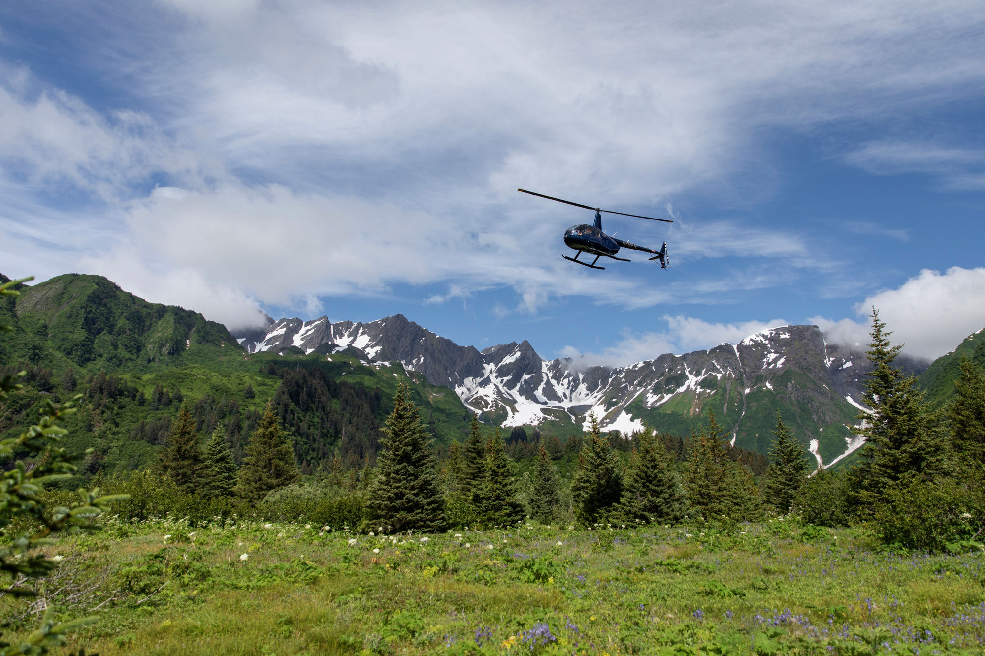 A helicopter flies in the sky above a grassy meadow filled with wildflowers in Alaska with snowy mountain peaks in the background.