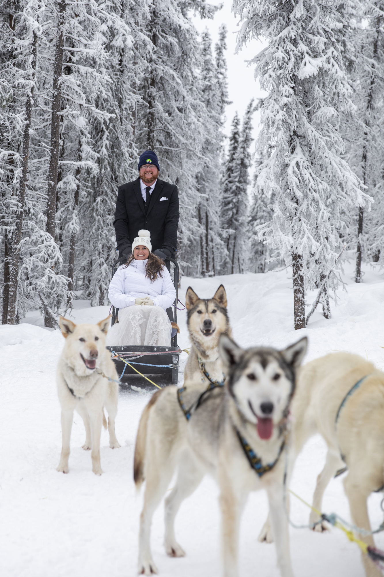 A bride sits on a dog sled while her groom stands behind her and the dogs pulling the sled look at the camera in snowy Fairbanks, Alaska. 