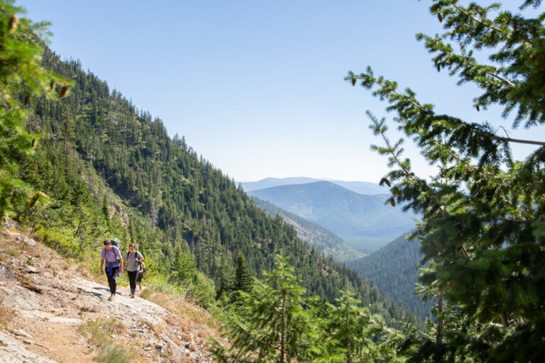 A couple hike up a mountainside with green fir trees and mountains in the background.