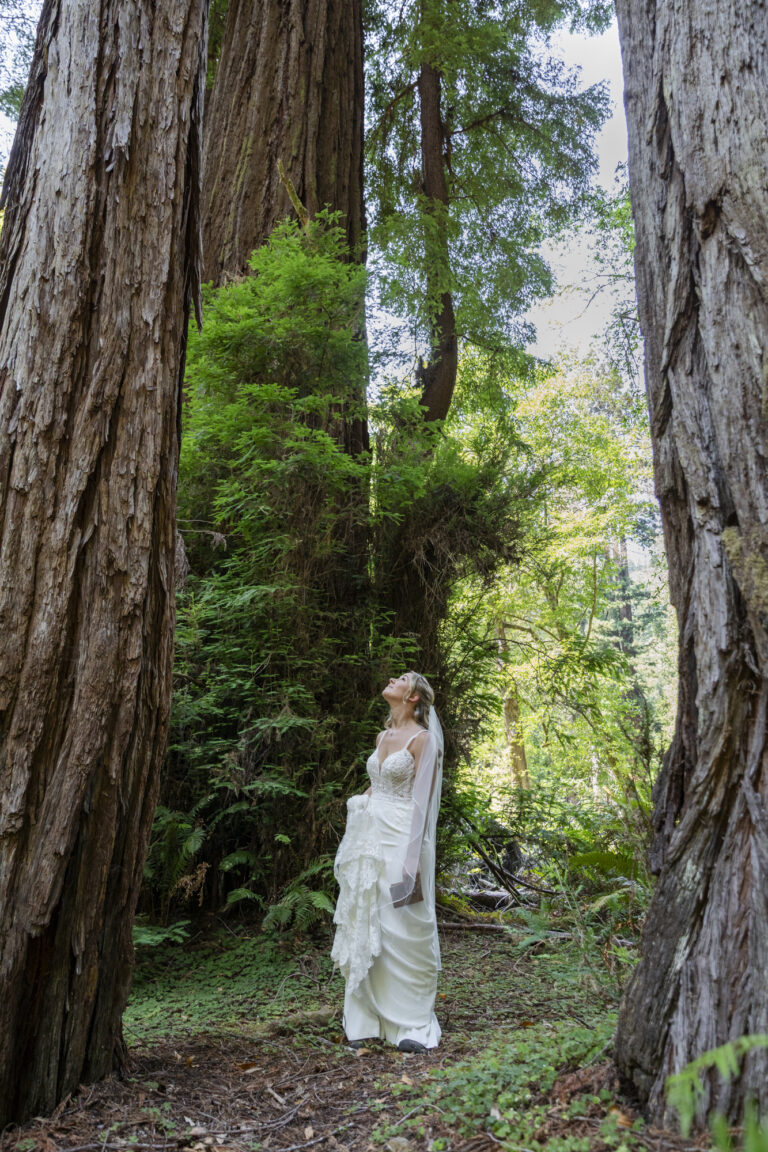 Forest Elopement Guide: Locations, Permits, and Tips for Your Adventure Ceremony | Scenic Vows Bride stands in a white dress and veil staring up at the large trees as she stands amongst the forest on her elopement day.