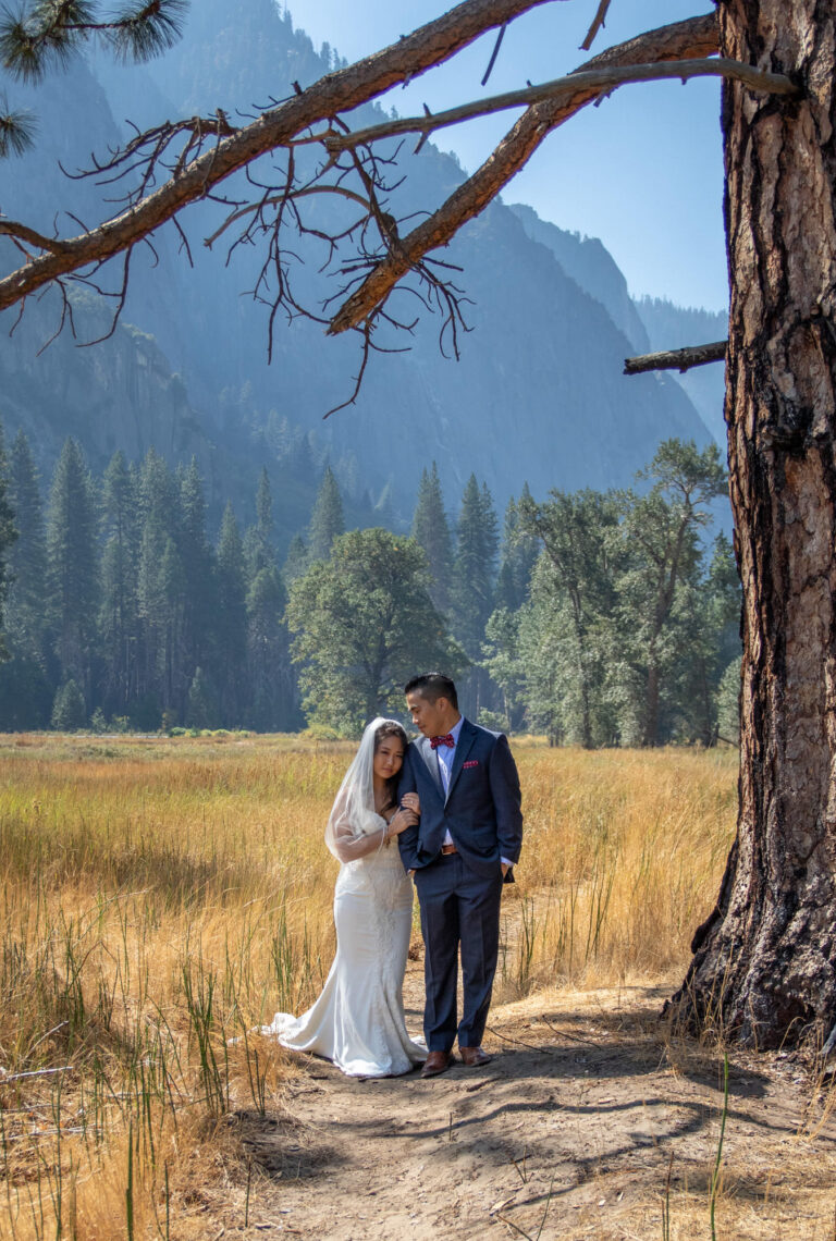 A bride and groom stand on a dirt path under a tree in Yosemite.