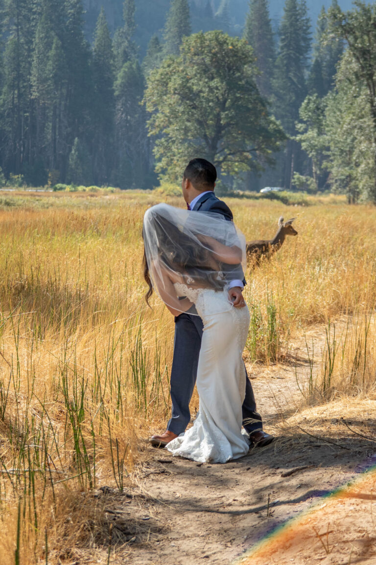 A deer walks behind a bride and groom in Yosemite and they turn to look at it.
