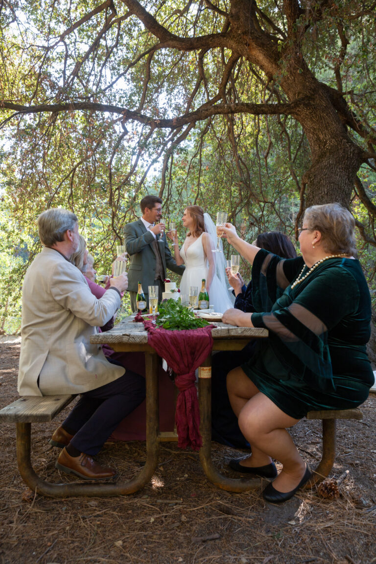 A bride and groom stand at the head of a picnic table smiling at each other and toasting champagne glasses as their guests sit around the table with their glasses raised in the air.