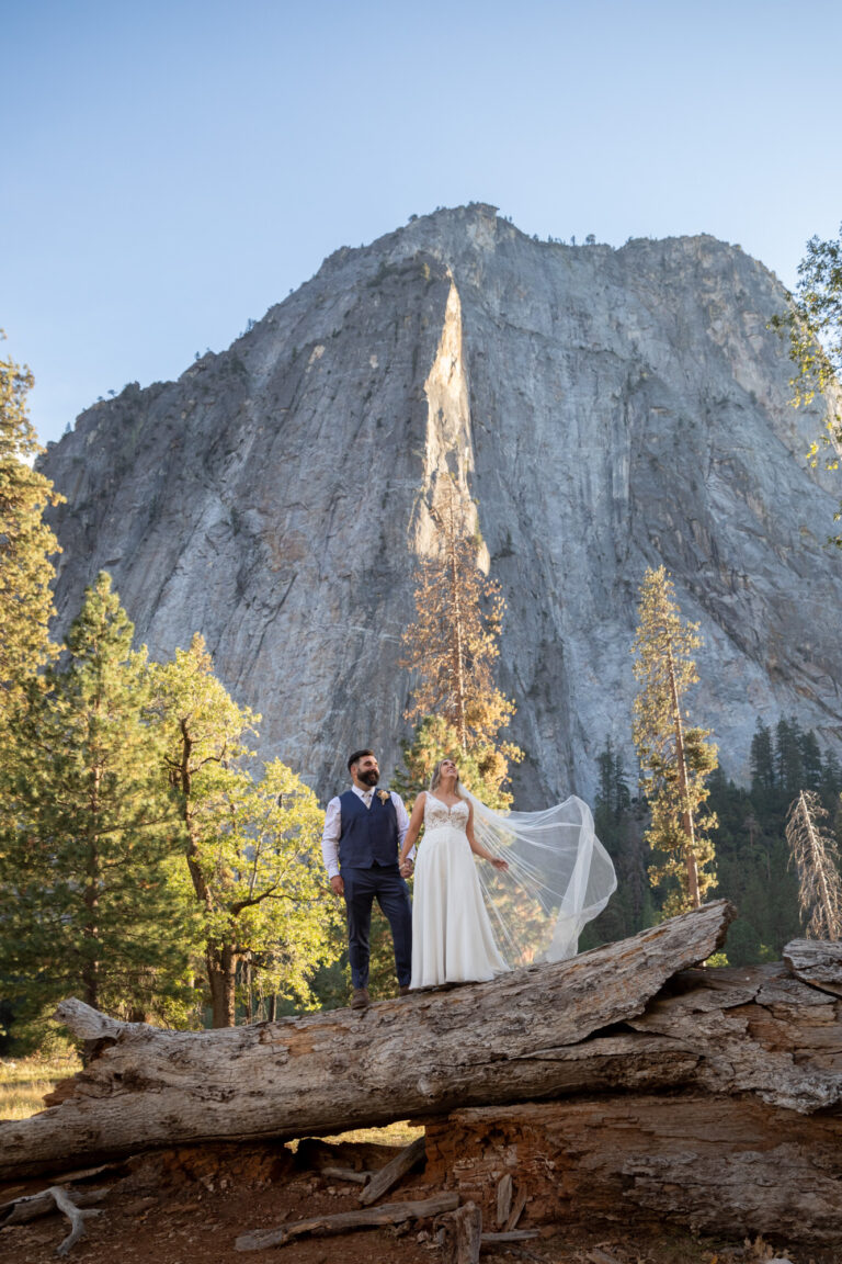 A bride and groom stand on a huge log holding hands as the bride's veil flies in the wind.